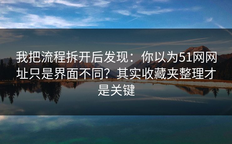 我把流程拆开后发现：你以为51网网址只是界面不同？其实收藏夹整理才是关键
